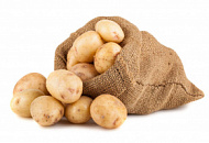 Свежее поступление семенного картофеля!