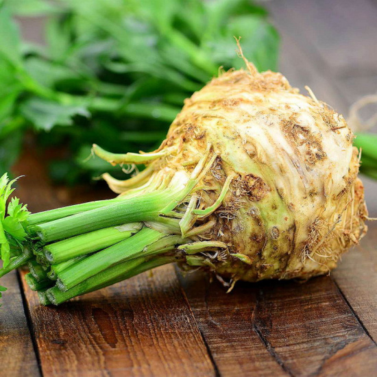 Сельдерей корневой "Силач"