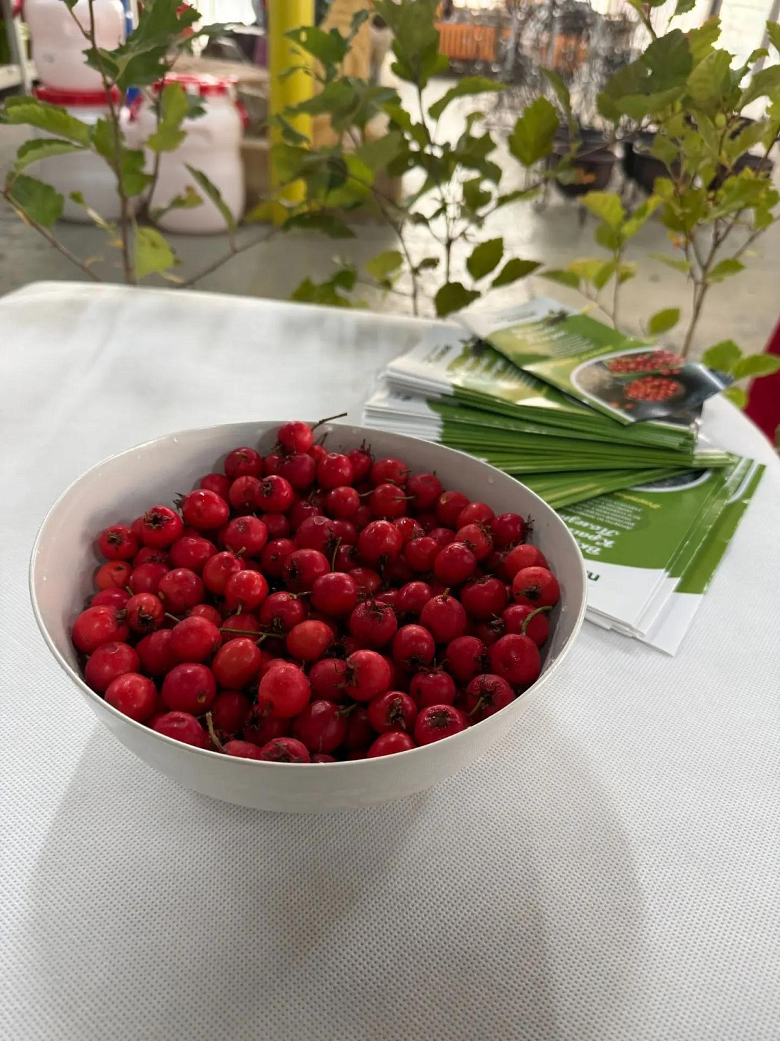 ВКУСНО! КРАСИВО! ПОЛЕЗНО!